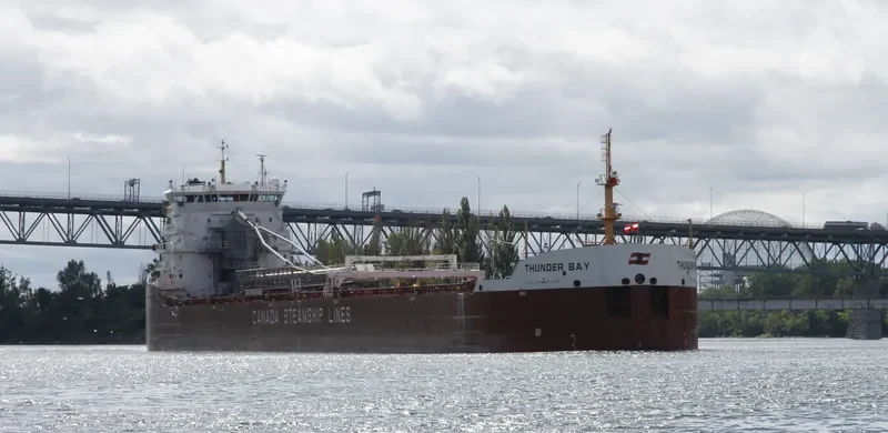 THUNDER BAY Bulk Carrier IMO 9601039 photo 2