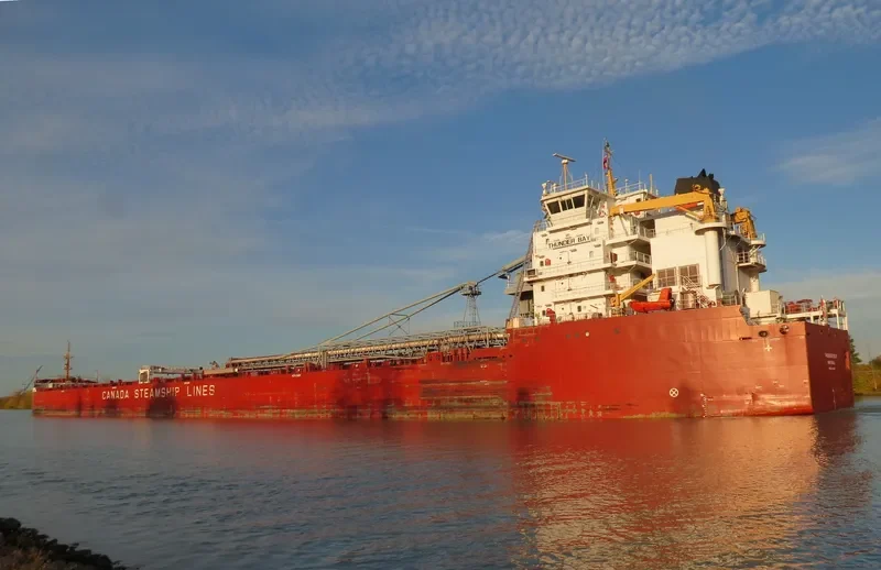 THUNDER BAY Bulk Carrier IMO 9601039 photo 4