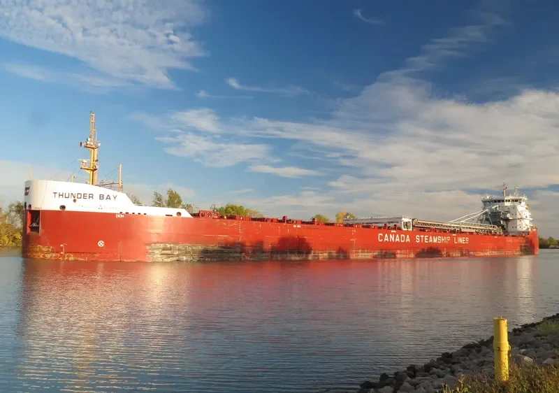 THUNDER BAY Bulk Carrier IMO 9601039 photo 5