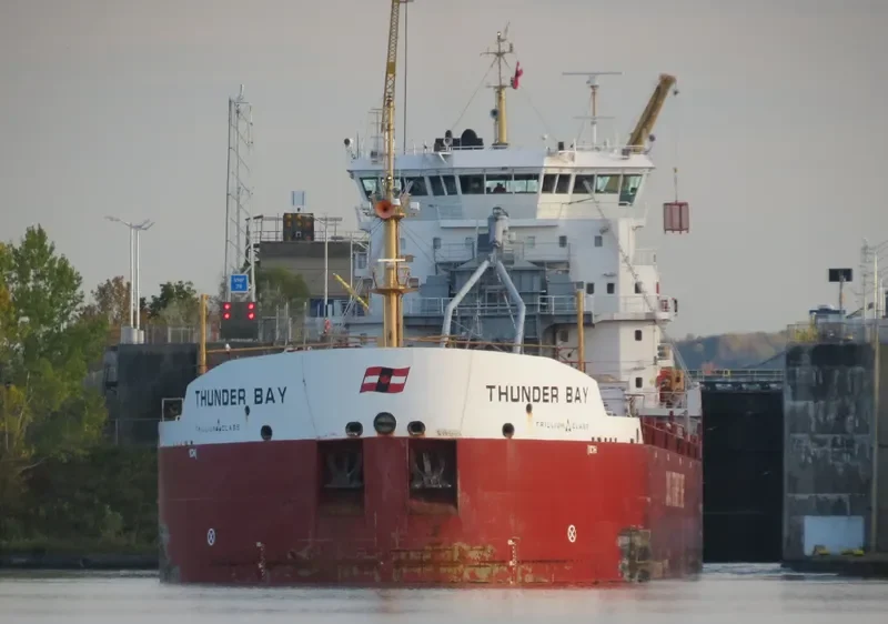 THUNDER BAY Bulk Carrier IMO 9601039 photo 7