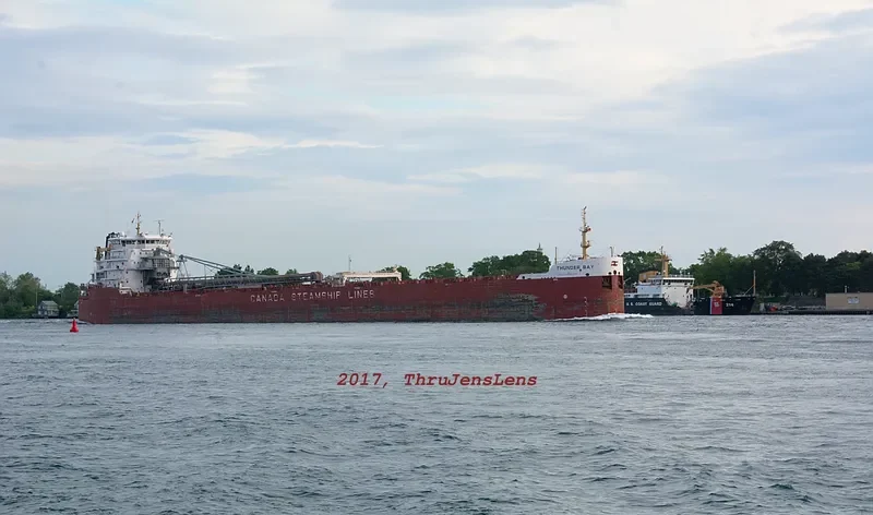 THUNDER BAY Bulk Carrier IMO 9601039 photo 8