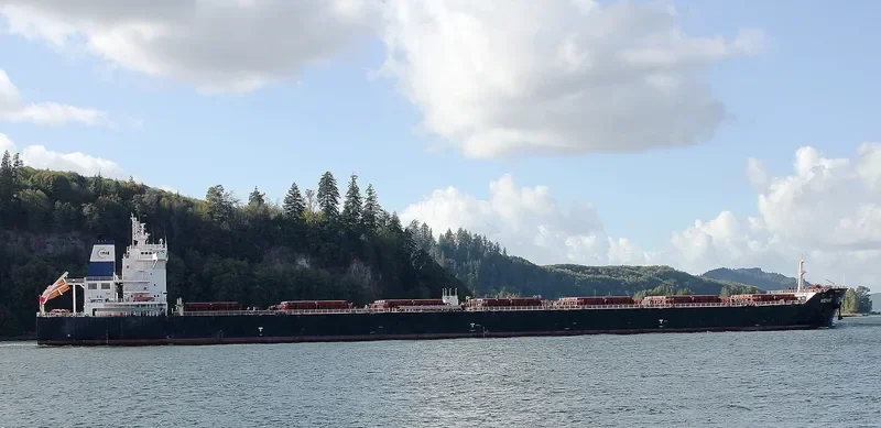 WEI HE Bulk Carrier IMO 9601091 photo 3