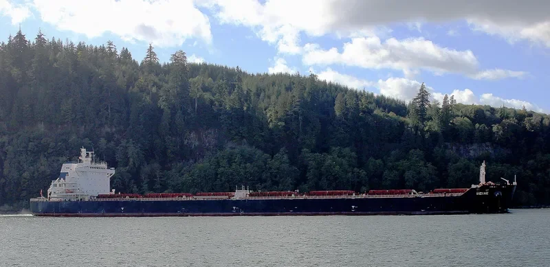 WEI HE Bulk Carrier IMO 9601091 photo 4