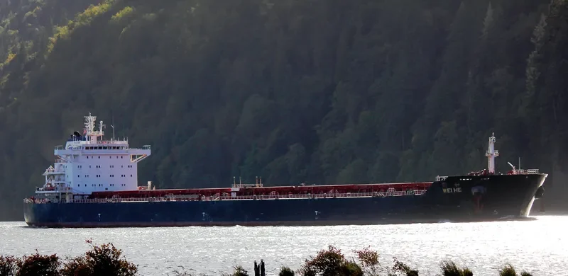 WEI HE Bulk Carrier IMO 9601091 photo 5