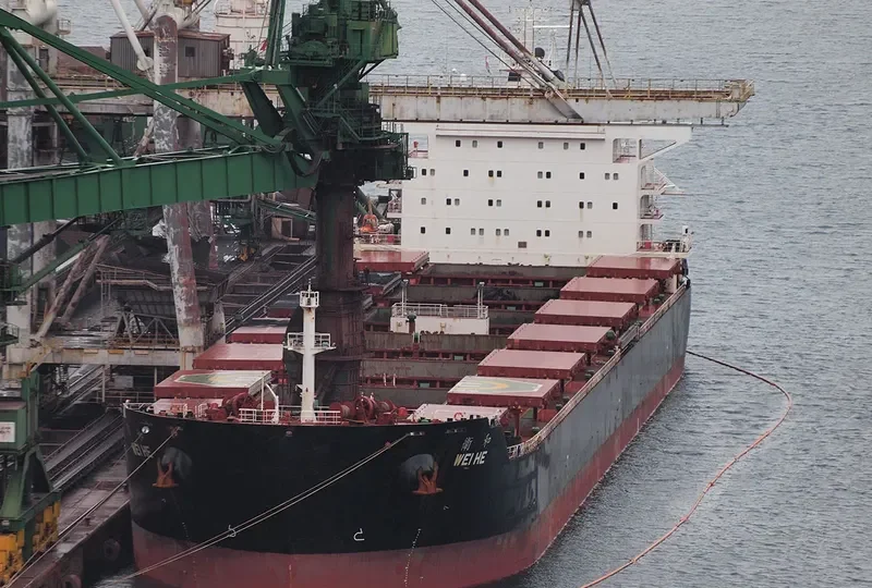 WEI HE Bulk Carrier IMO 9601091 photo 6