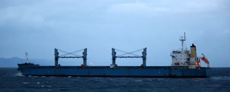 MYSTRAS Bulk Carrier IMO 9601168 photo 10