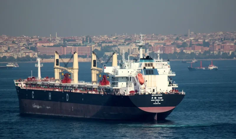 HUA HENG 166 Bulk Carrier IMO 9601209