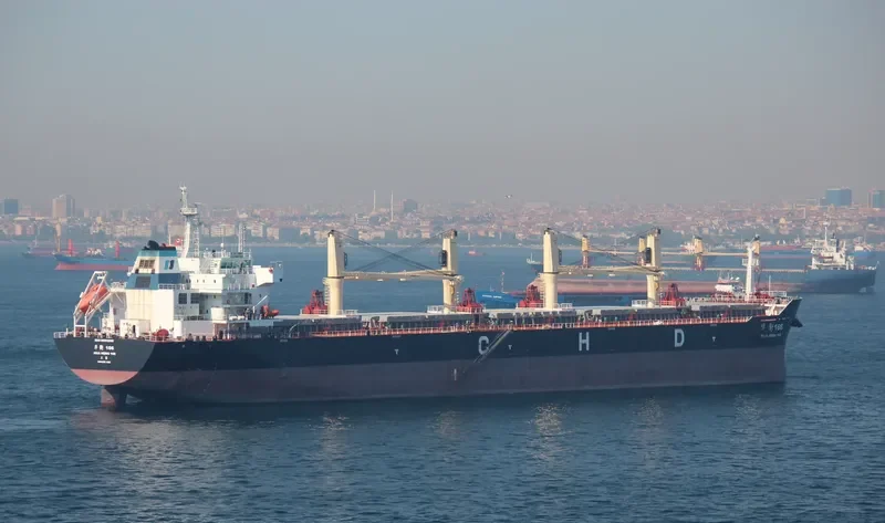 HUA HENG 166 Bulk Carrier IMO 9601209 photo 2
