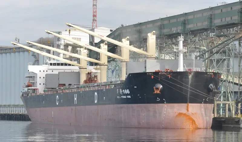 HUA HENG 166 Bulk Carrier IMO 9601209 photo 6