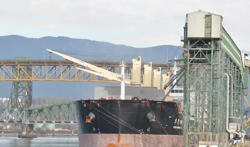 HUA HENG 166 Bulk Carrier IMO 9601209 photo 8