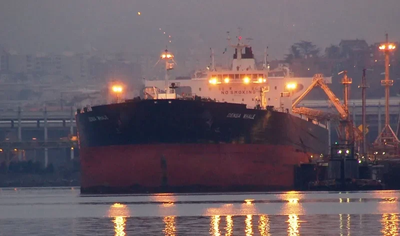 DENSA WHALE Tanker IMO 9601223 photo 2