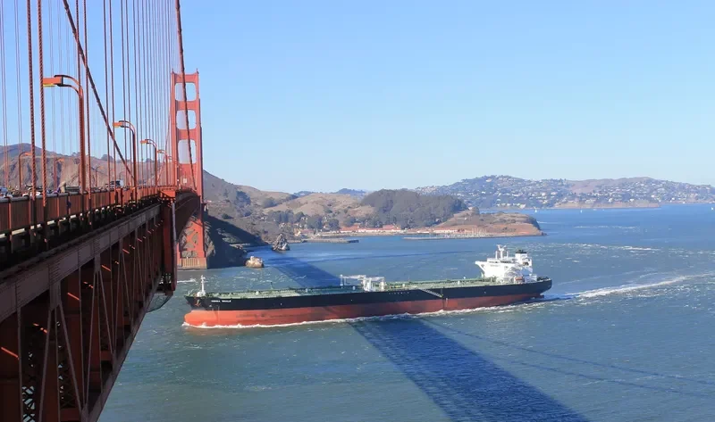 DENSA WHALE Tanker IMO 9601223 photo 4