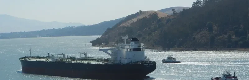DENSA WHALE Tanker IMO 9601223 photo 5