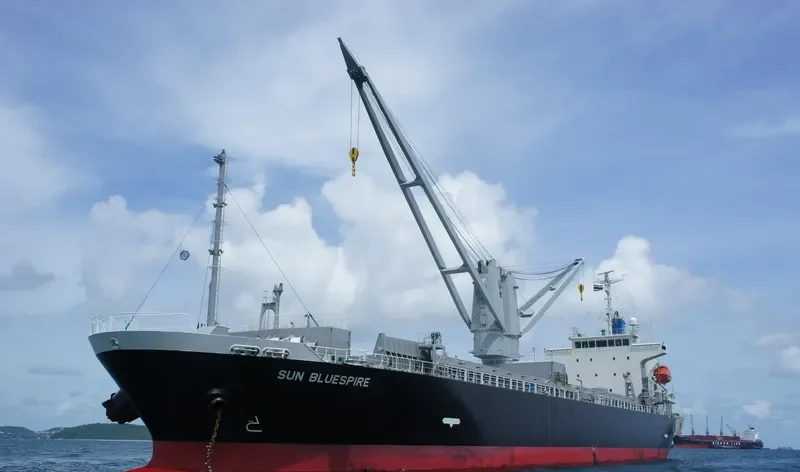 SUN BLUESPIRE General Cargo IMO 9601261 photo 8