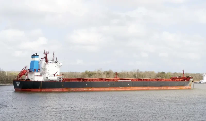CAPE RACE Bulk Carrier IMO 9601728 photo 8