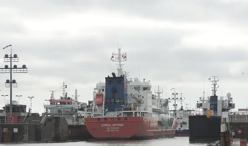 CORAL ACTINIA General Cargo IMO 9601742 photo 3
