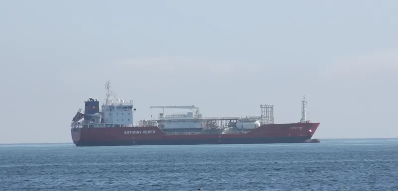 CORAL ACTINIA General Cargo IMO 9601742 photo 6