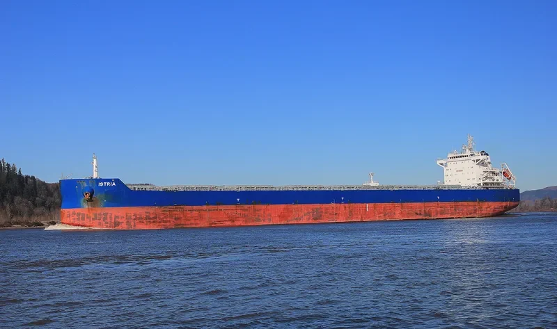 ISTRIA Bulk Carrier IMO 9601912 photo 9