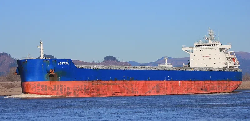 ISTRIA Bulk Carrier IMO 9601912 photo 10