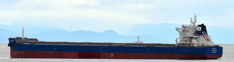 ISTRIA Bulk Carrier IMO 9601912 photo 11