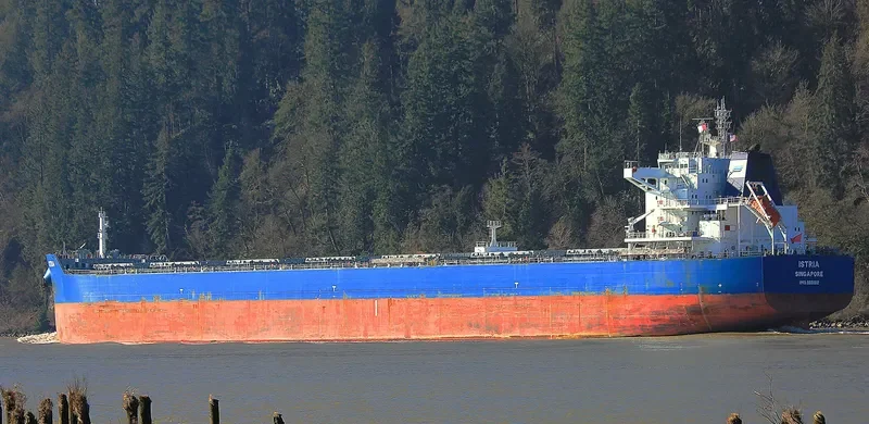 ISTRIA Bulk Carrier IMO 9601912 photo 33