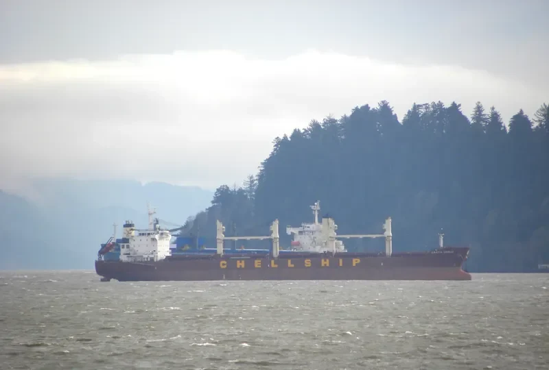 DARYA GANGA Bulk Carrier IMO 9601936