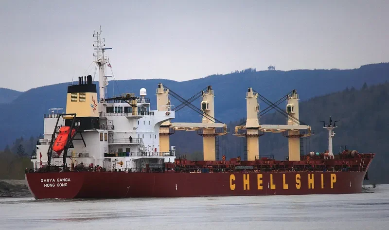 DARYA GANGA Bulk Carrier IMO 9601936 photo 2