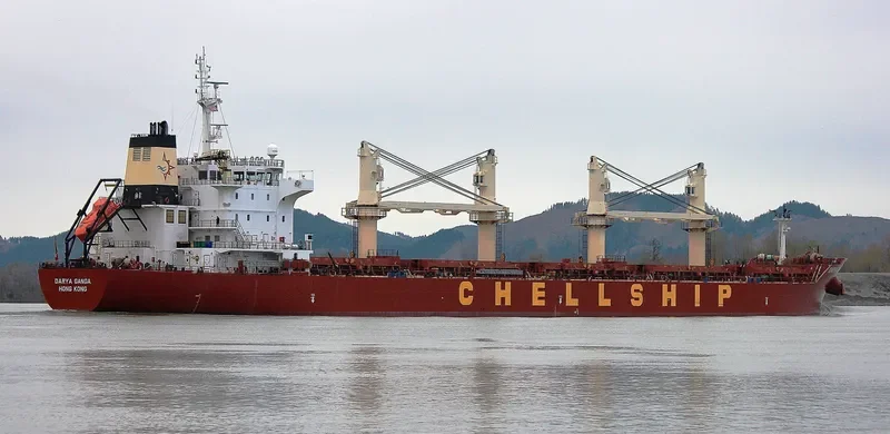 DARYA GANGA Bulk Carrier IMO 9601936 photo 3