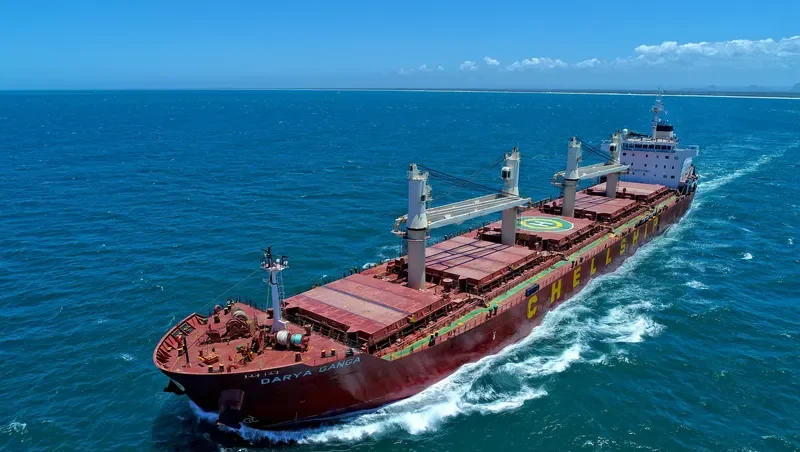 DARYA GANGA Bulk Carrier IMO 9601936 photo 4