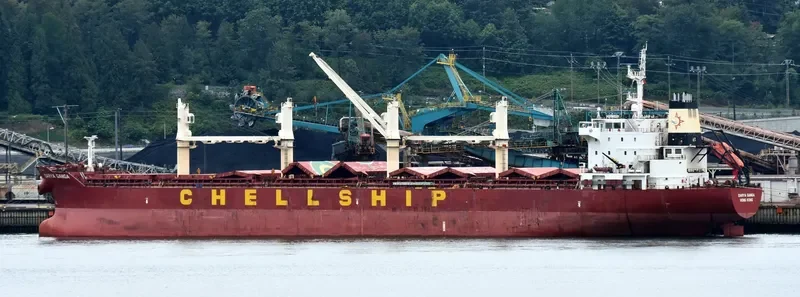 DARYA GANGA Bulk Carrier IMO 9601936 photo 7