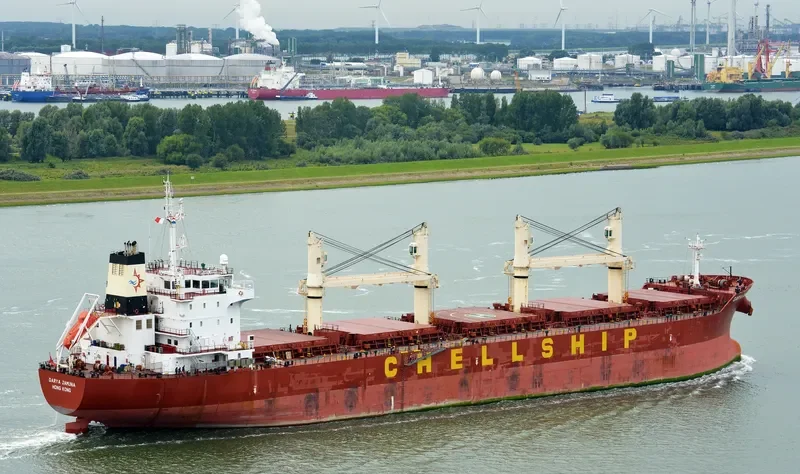 DARYA JAMUNA Bulk Carrier IMO 9601948 photo 3