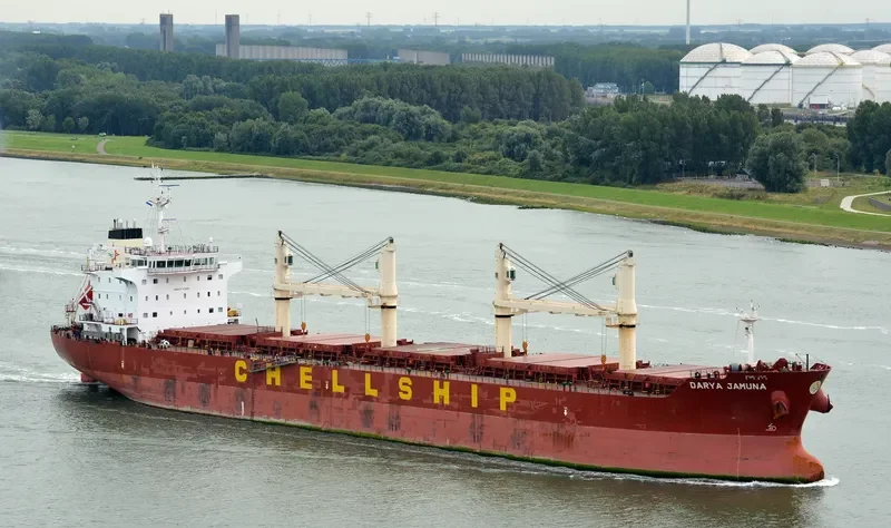DARYA JAMUNA Bulk Carrier IMO 9601948 photo 4
