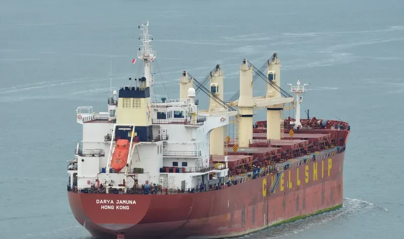 DARYA JAMUNA Bulk Carrier IMO 9601948 photo 5