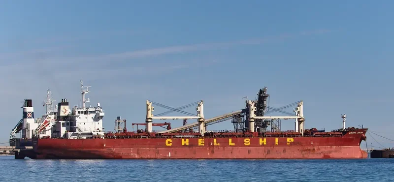 DARYA JAMUNA Bulk Carrier IMO 9601948 photo 6