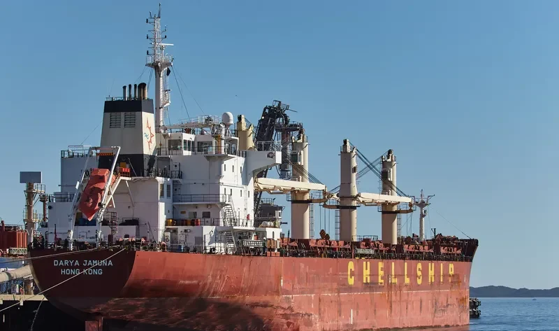 DARYA JAMUNA Bulk Carrier IMO 9601948 photo 7