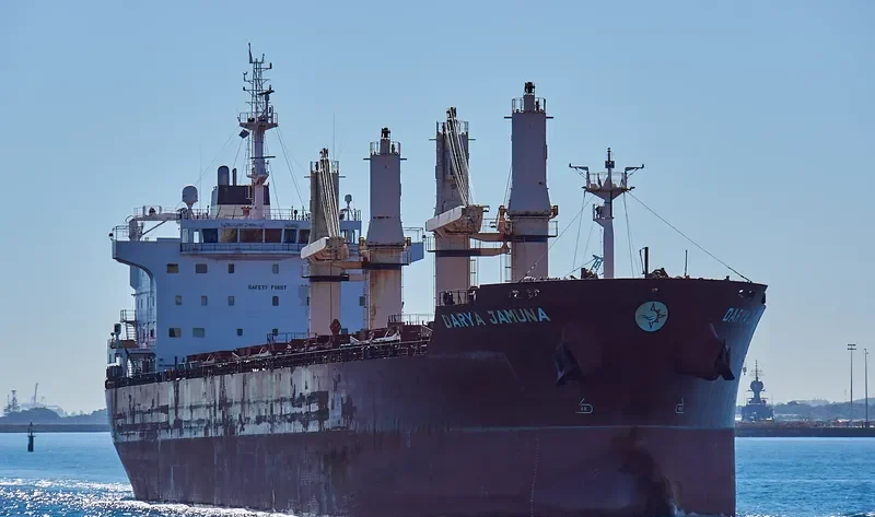 DARYA JAMUNA Bulk Carrier IMO 9601948 photo 8