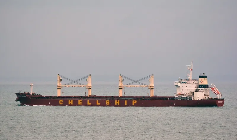 DARYA JAMUNA Bulk Carrier IMO 9601948 photo 9