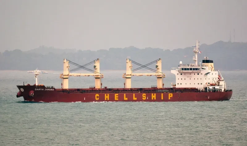 DARYA JAMUNA Bulk Carrier IMO 9601948 photo 10