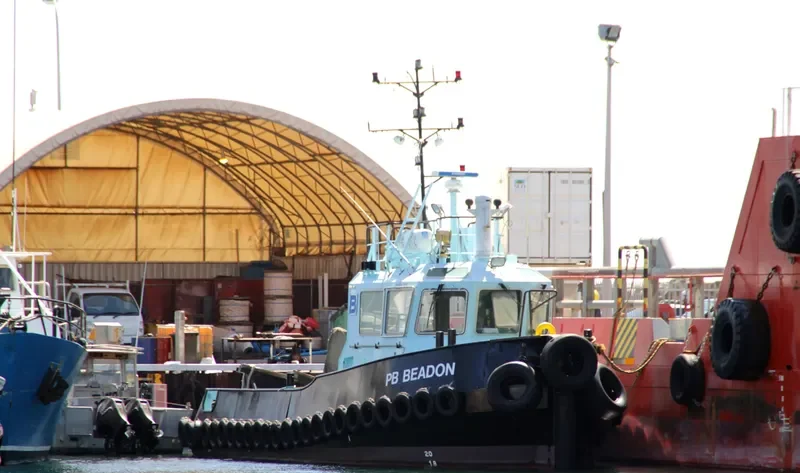 PB BEADON General Cargo IMO 9602136