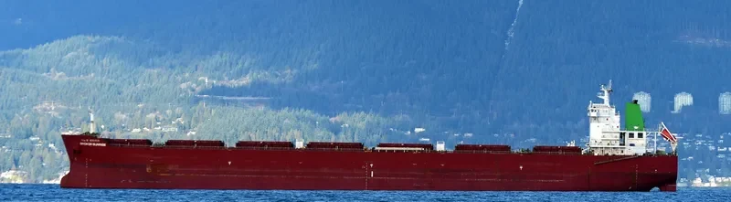 SINOKOR SUNRISE Bulk Carrier IMO 9602148