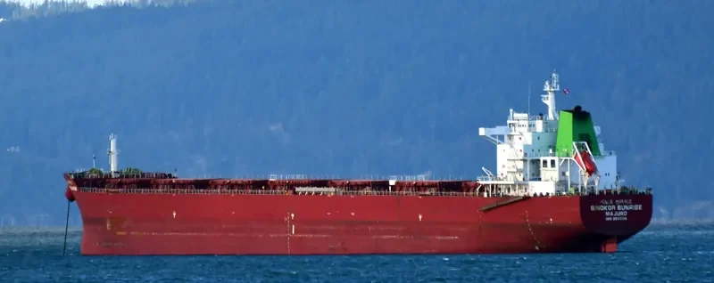 SINOKOR SUNRISE Bulk Carrier IMO 9602148 photo 3