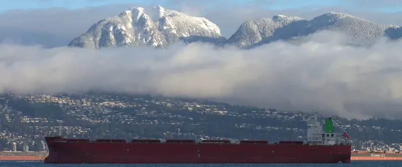 SINOKOR SUNRISE Bulk Carrier IMO 9602148 photo 6