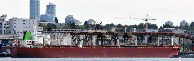 SINOKOR SUNRISE Bulk Carrier IMO 9602148 photo 7