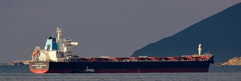 SINOKOR SUNRISE Bulk Carrier IMO 9602148 photo 8