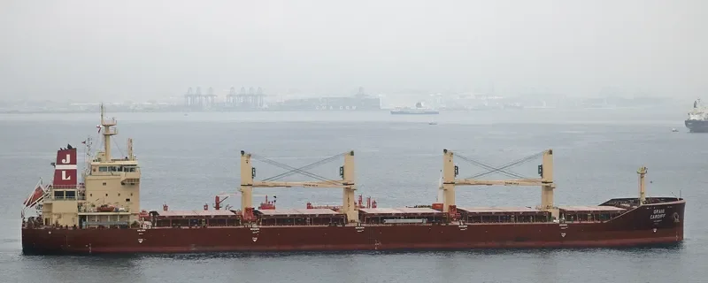 GRAIG CARDIFF Bulk Carrier IMO 9602174 photo 3