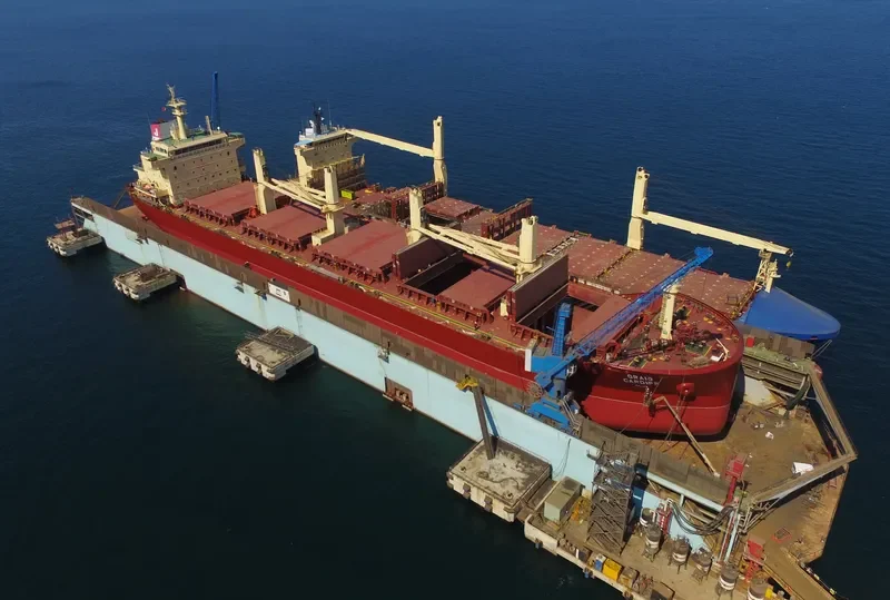 GRAIG CARDIFF Bulk Carrier IMO 9602174 photo 6