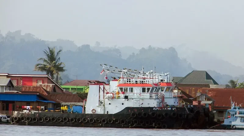 ALPINE MARINE 25 General Cargo IMO 9602215