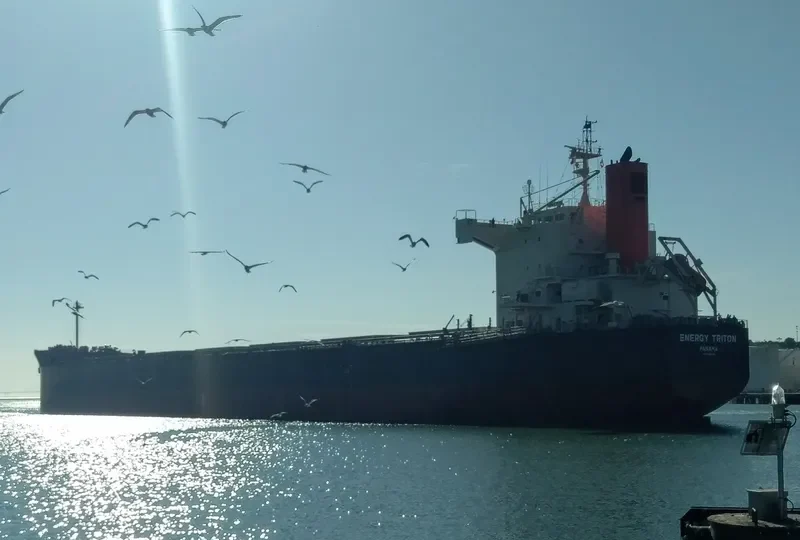 ENERGY TRITON Bulk Carrier IMO 9602368