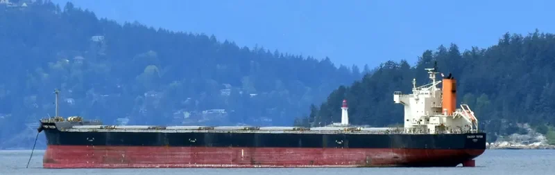 ENERGY TRITON Bulk Carrier IMO 9602368 photo 2