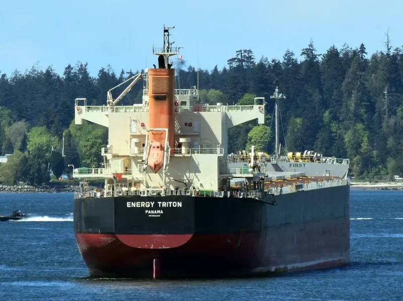 ENERGY TRITON Bulk Carrier IMO 9602368 photo 4